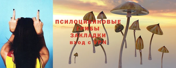 твердый Беломорск