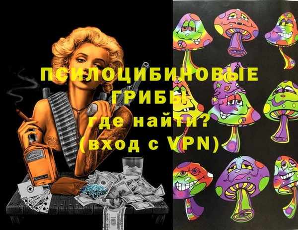 ПСИЛОЦИБИНОВЫЕ ГРИБЫ Белоозёрский