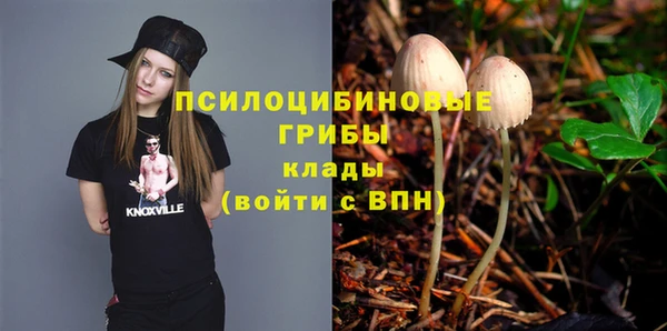 ПСИЛОЦИБИНОВЫЕ ГРИБЫ Белоозёрский